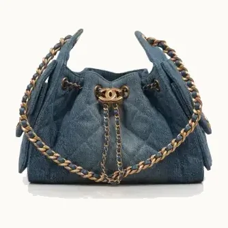 Chanel Hobo 25