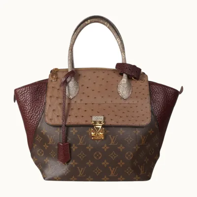 Bolsa Louis Vuitton Majestueux