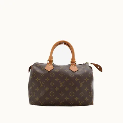 Louis Vuitton Speedy 25