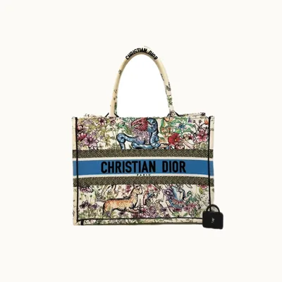 Dior Book Tote Medium