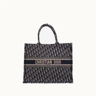 Bolso Dior Book Tote Oblique 2024