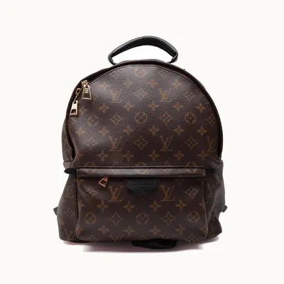 Louis Vuitton Backpack
