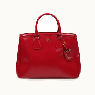 Prada Tote Parabole